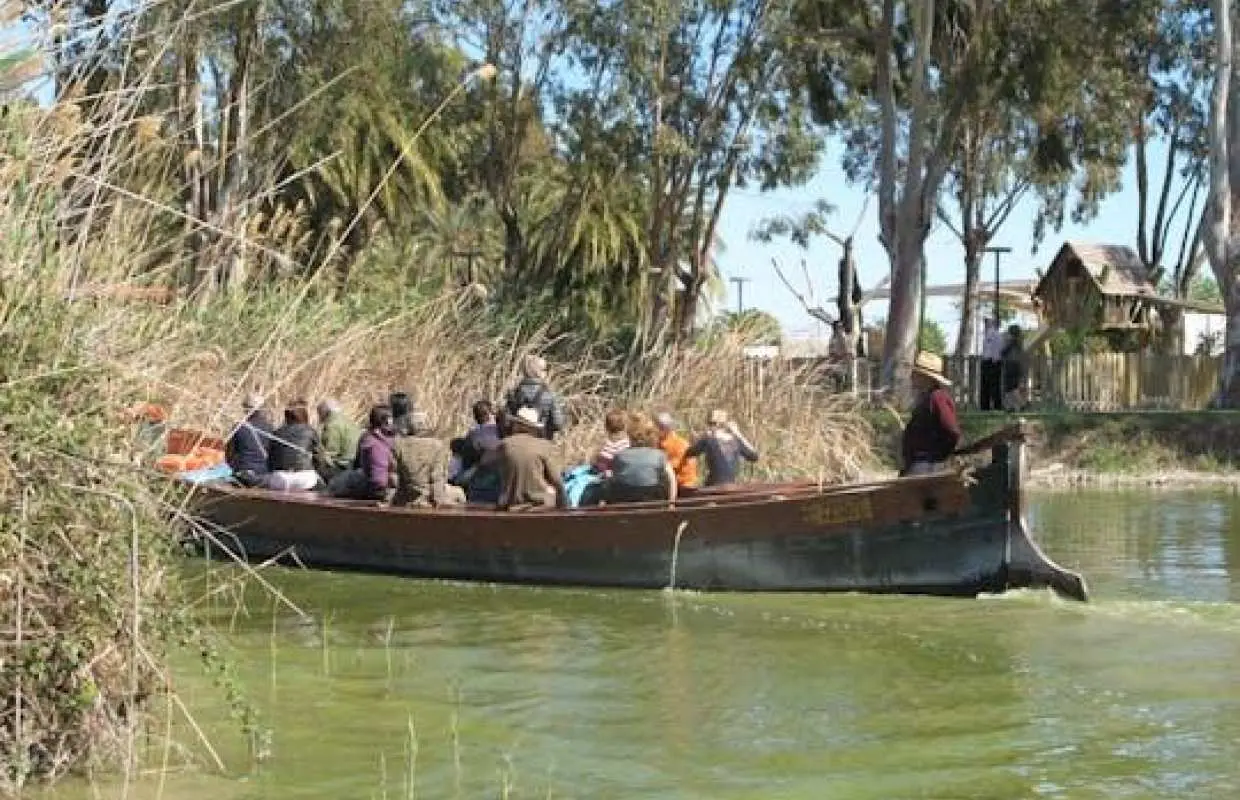 Valencia: Albufera Natural Park Tour with Boat Ride and Panoramic Bus