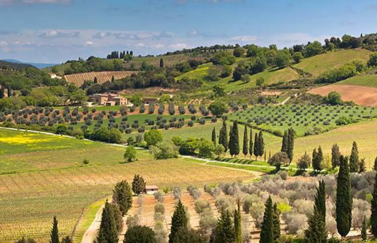 San Gimignano, Siena & Chianti Wine Tasting | Florence