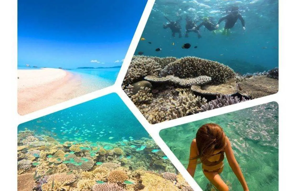 [Ishigaki Island/3 hours] Landing on the Phantom Island & Fish and Coral Snorkeling Tour ★ GoPro data, equipment, and transfers free | Same-day booking available, ages 0-85 OK