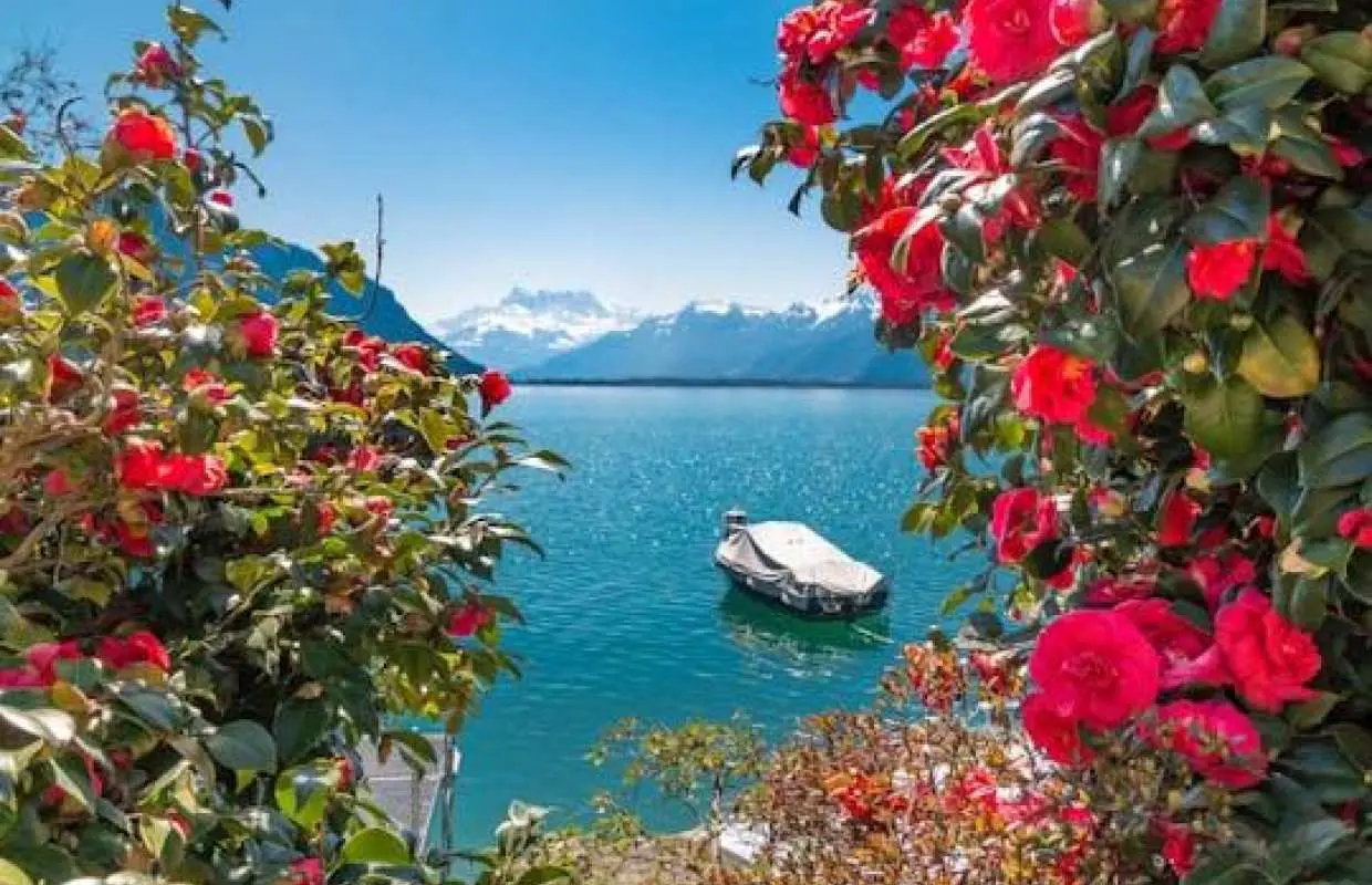 1-hour walking tour of Montreux with a local