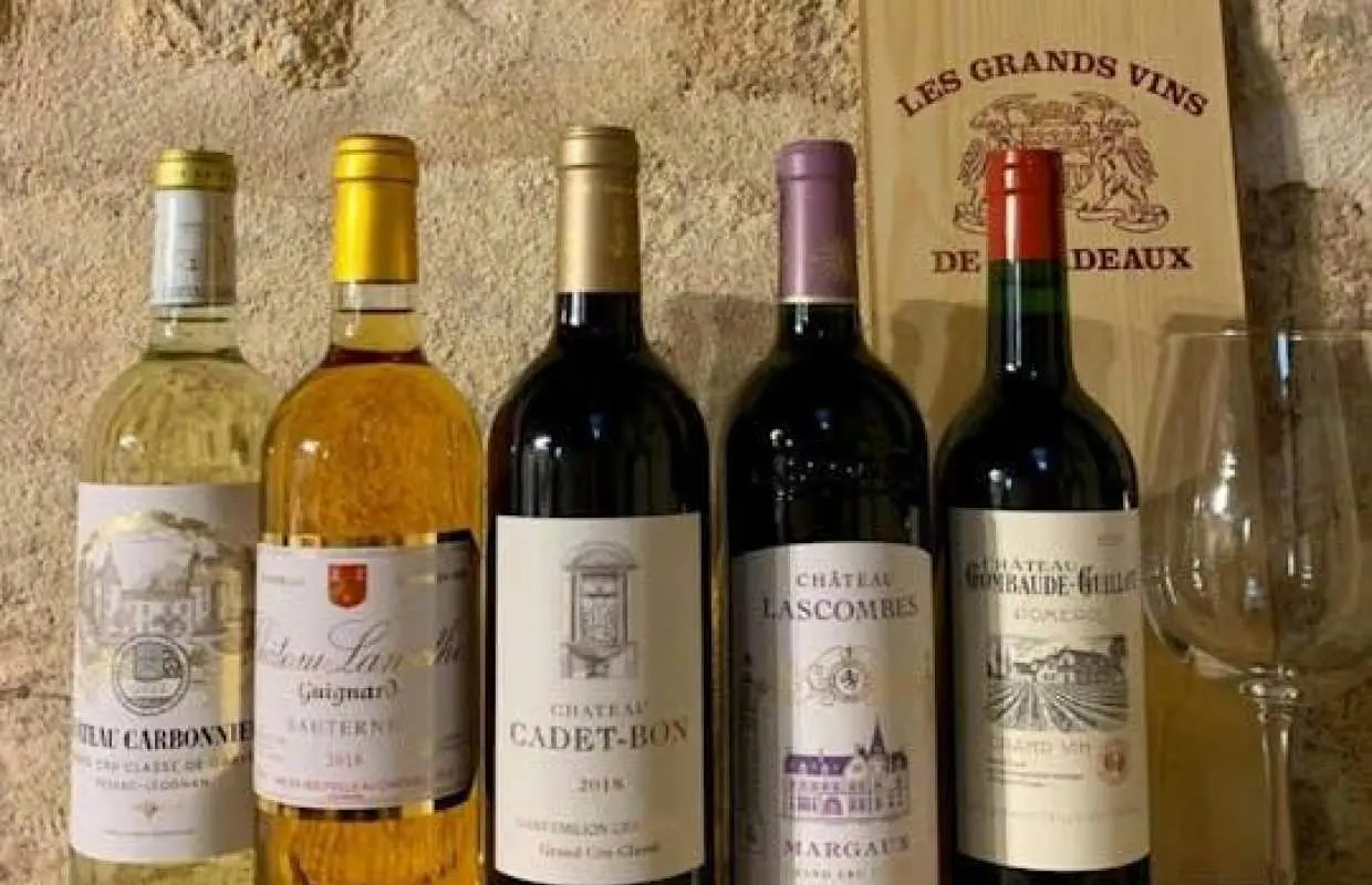 Bordeaux great classified growths private workshop with wine tasting