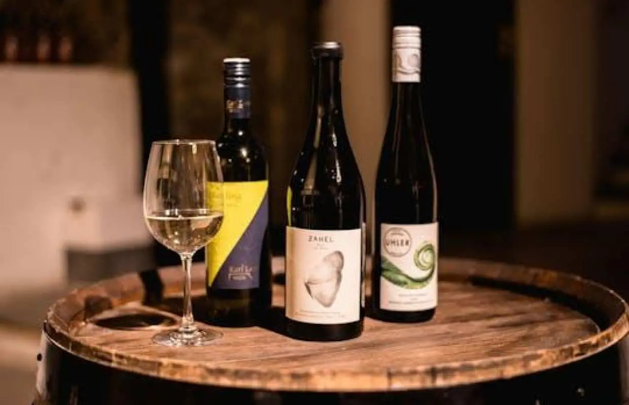 Viennese wine tasting in a roman wine-cellar