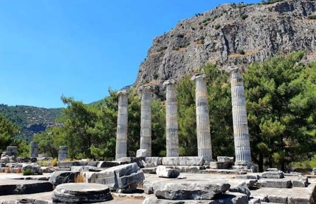 Half-day Miletos tour and Temple of Apollo visit