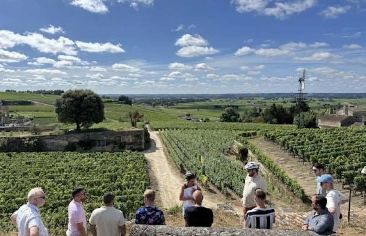 Saint-Émilion vineyards and medieval heritage small-group e-bike tour