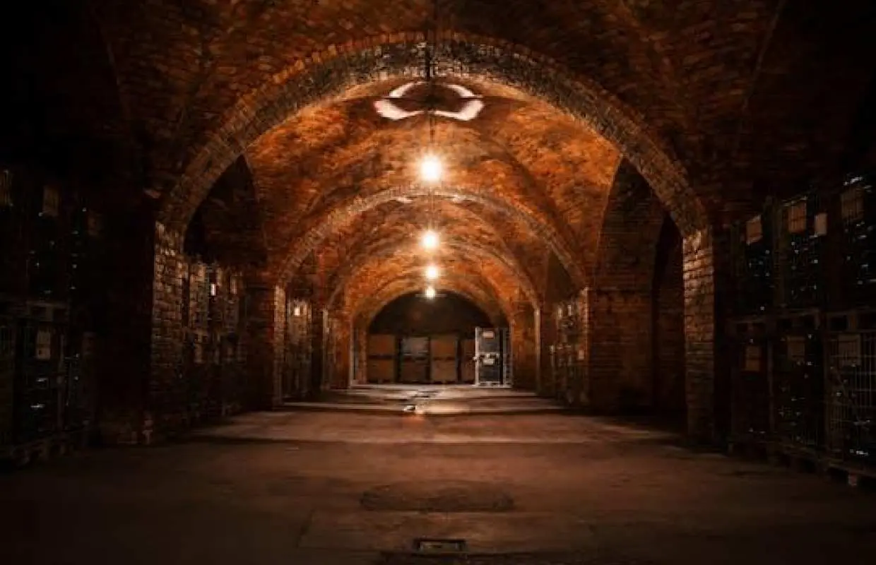 Winery Visit in La Rioja from Logroño with Tasting and Lunch