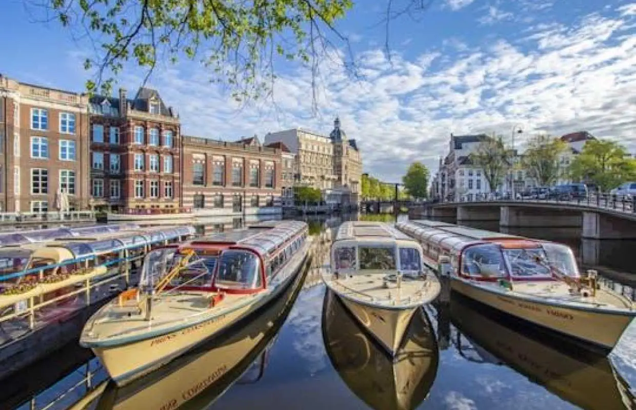 Amsterdam's art and culture tour with a local