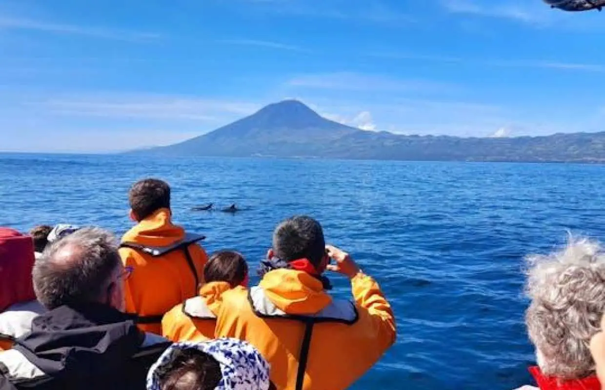 ラジェス・ド・ピコ発イルカ・クジラウォッチングツアー