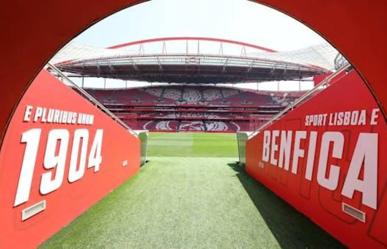 SL Benfica Stadium and Cosme Damião Museum tour with light meal