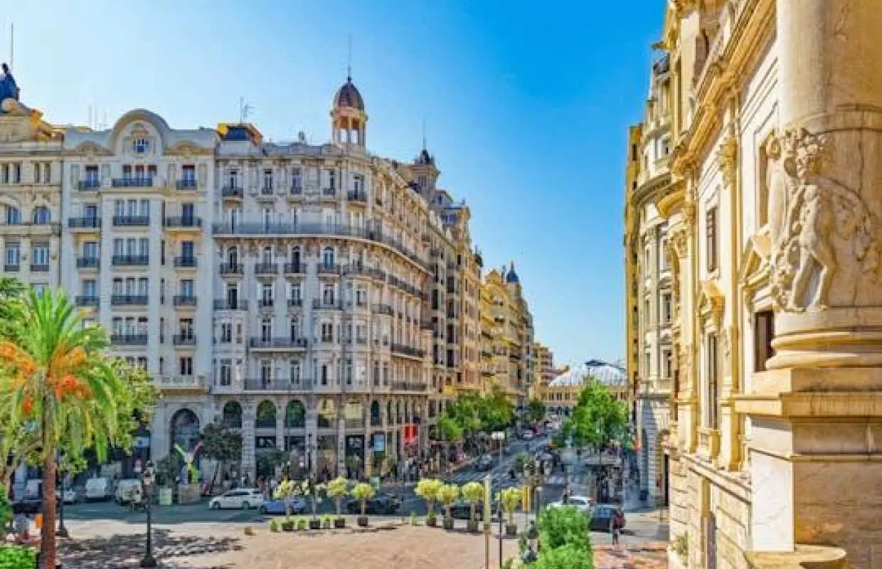1-hour guided tour of Valencia with a  local