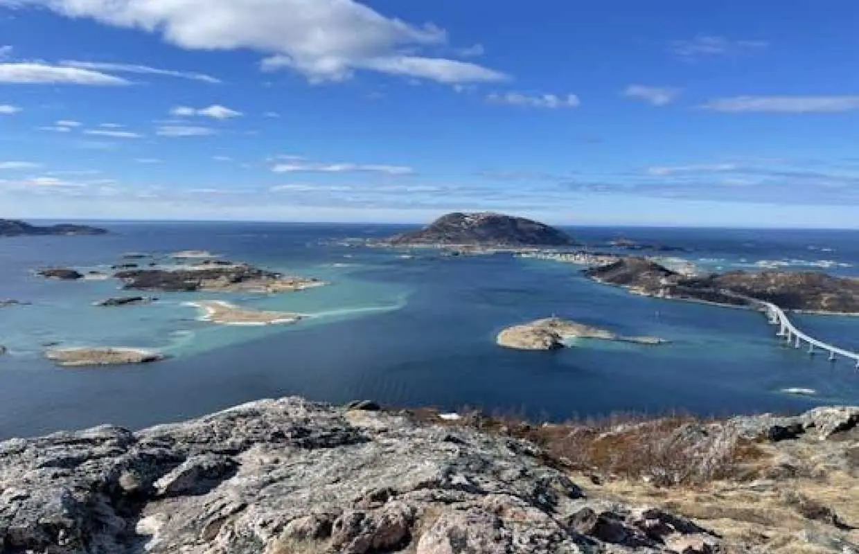 Tromsø fjords and wildlife tour in a minibus