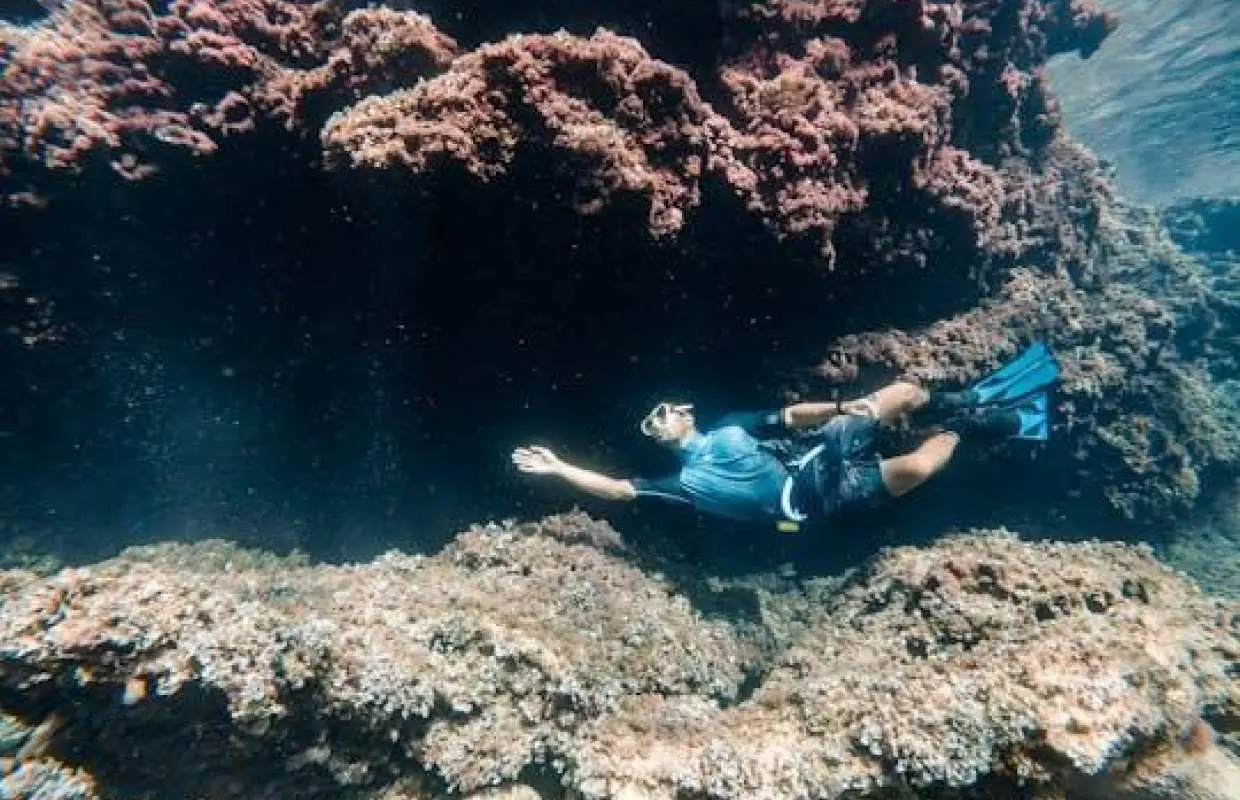 馬略卡島海洋與天然泳池探索之旅（含接送服務），由 Eco Island Adventure 提供導覽浮潛體驗