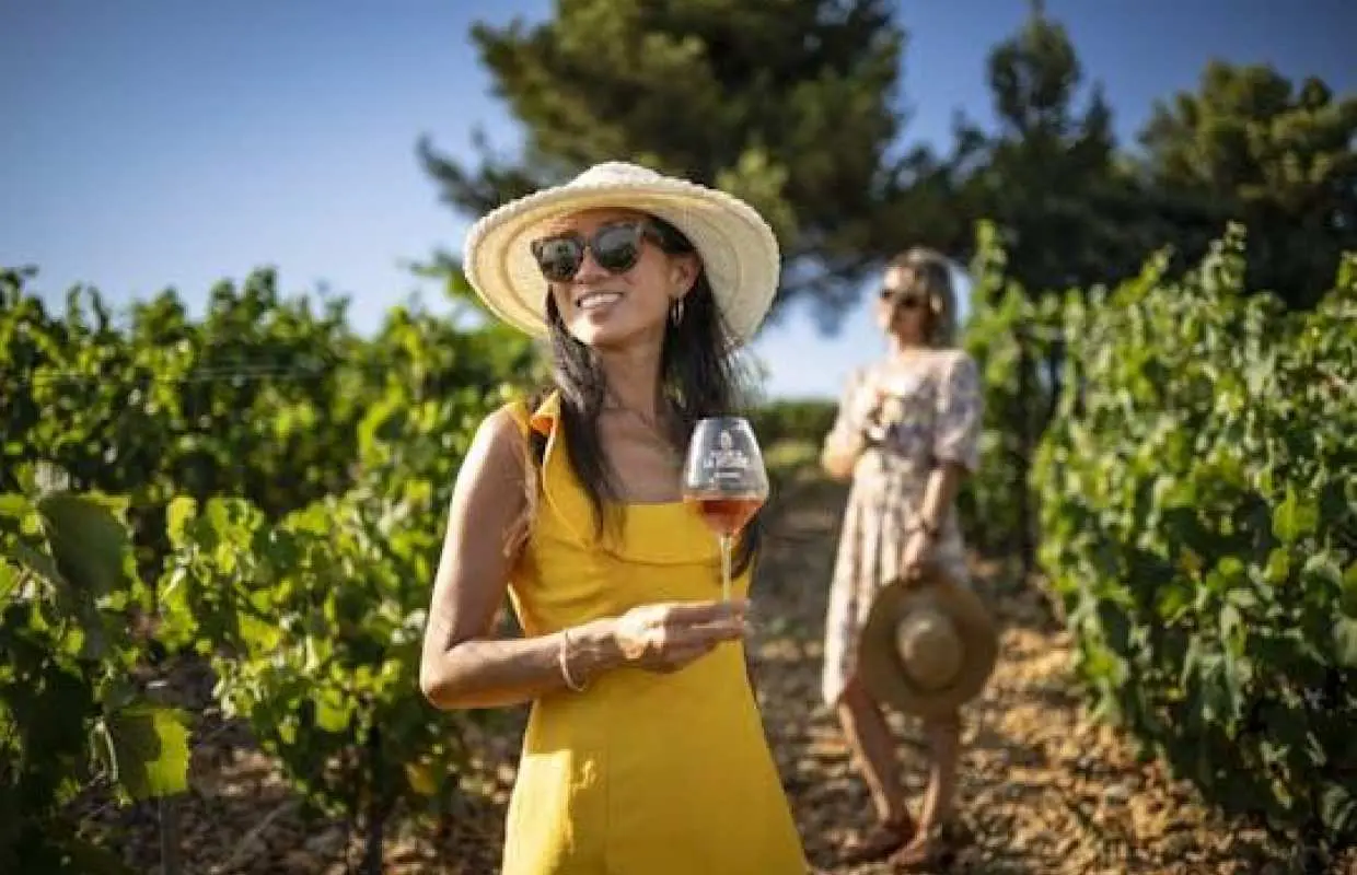 Small-group wine tour of Provence from Nice