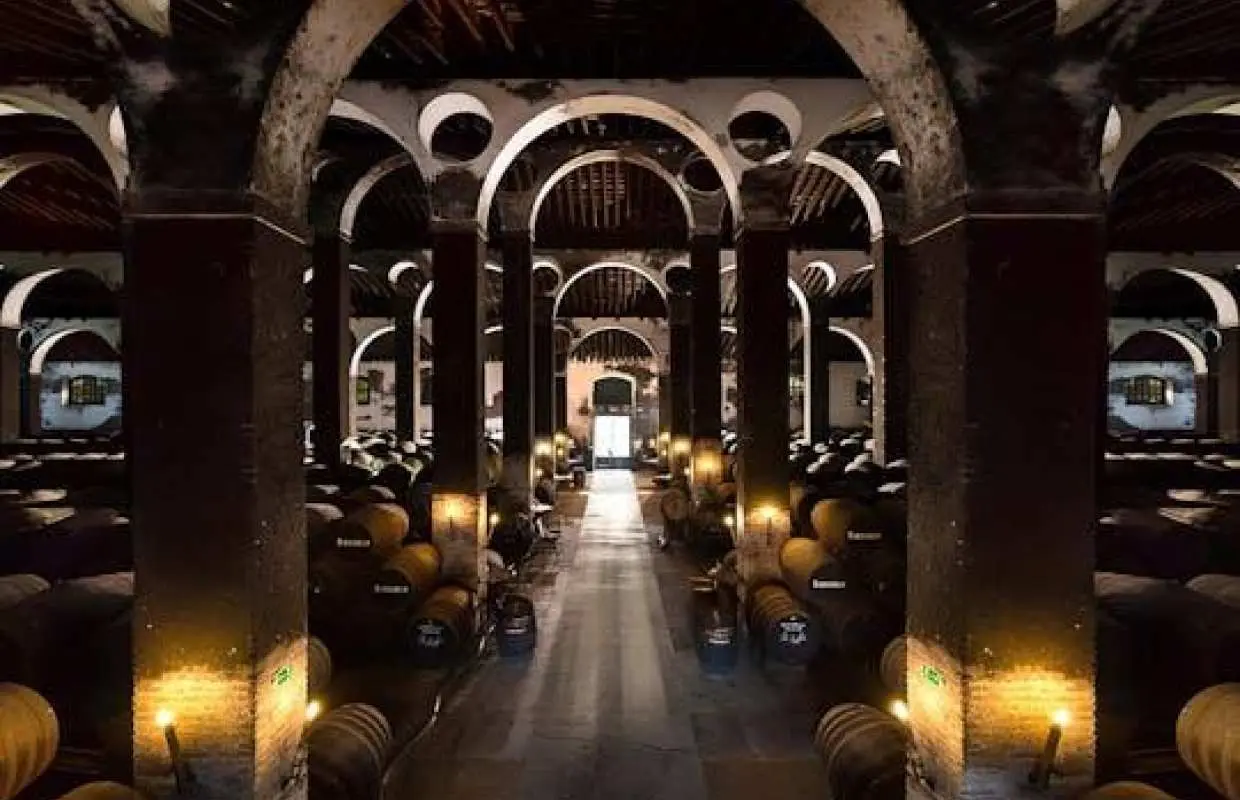 Winery tour with tasting of three wines in Sanlúcar