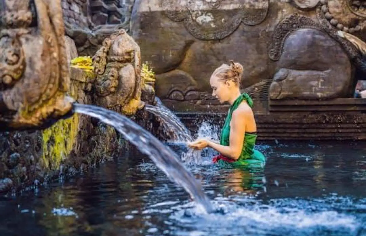 Monkey Forest, waterfall, rice terrace jungle swing private tour
