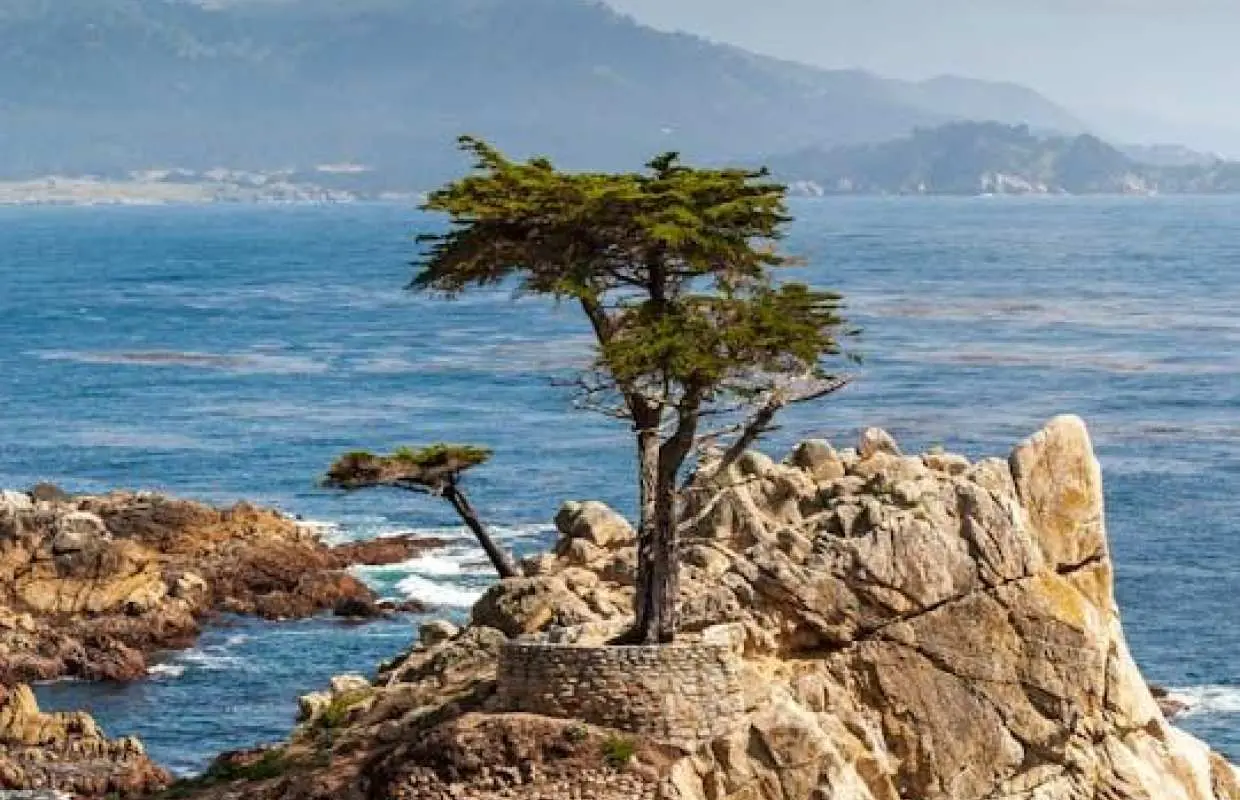 Self-Guided Audio Driving Tour of 17-Mile Drive