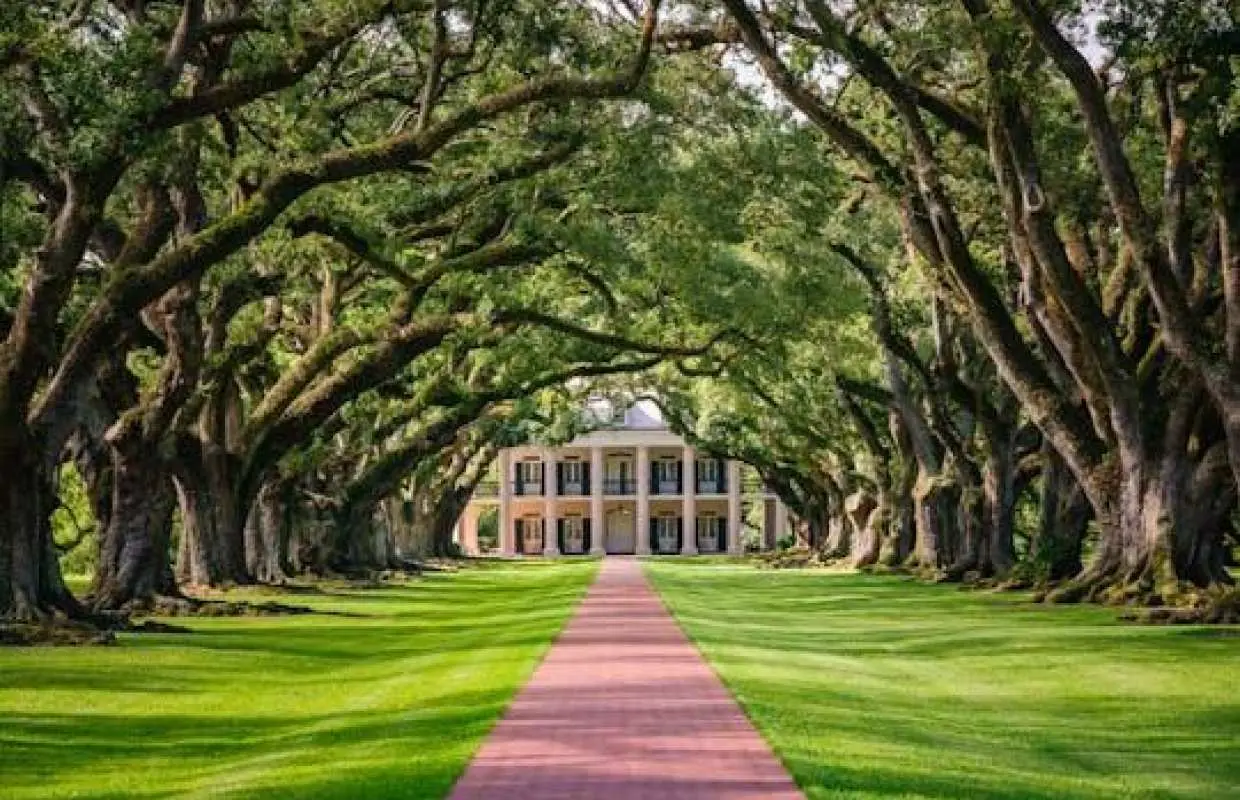 Oak Alley Plantation Tour