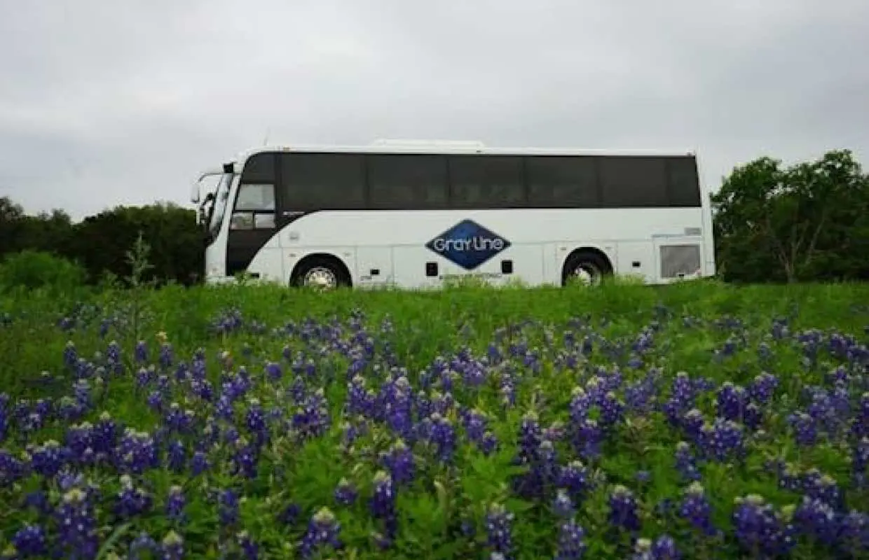Texas Hill Country and LBJ Ranch sightseeing tour from San Antonio
