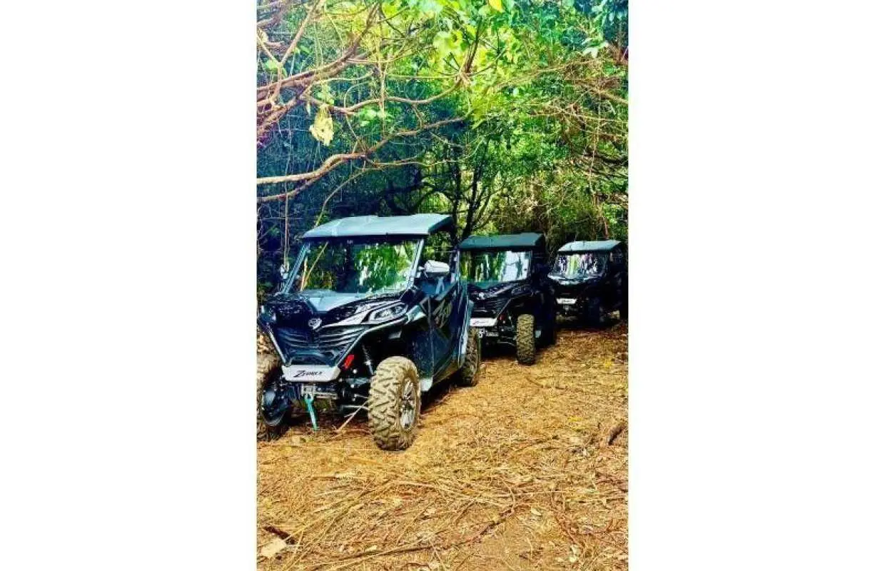 [Kumejima] First in Okinawa Prefecture! Great nature adventure tour by large buggy