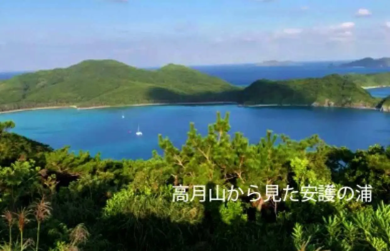 【慶良間諸島・座間味島】自然観察ガイドツアー。南の島には珍しい生き物がたくさん。琉球王国時代の風待ちの港があった阿佐区をのんびり歩きましょう