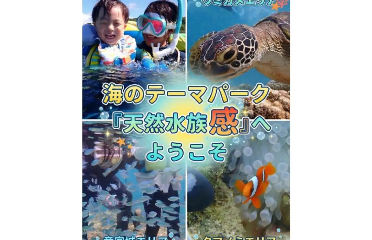 【糸満/送迎可】初心者向けシュノーケリング専門店！専属プロガイド付き少人数制★ウミガメ・クマノミ・100種以上のお魚がいる天然の水族館へ★