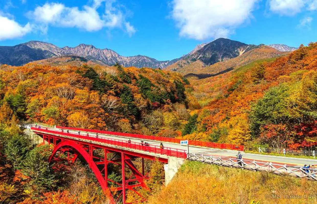 1Day Tour, Yatsugatake & Kiyosato Panorama Autumn Tour/From Tokyo