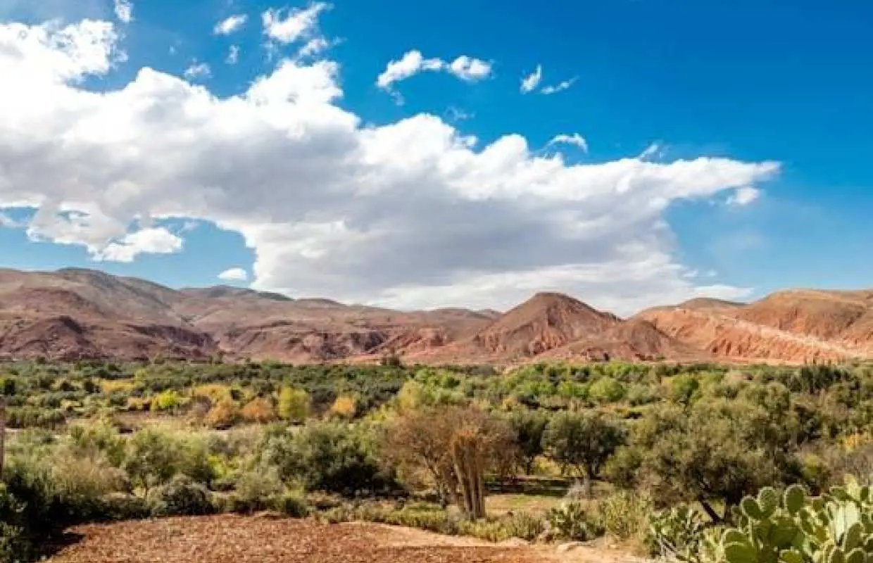 Road of the Kasbahs 4x4 Tour with Lunch in Aït Benhaddou