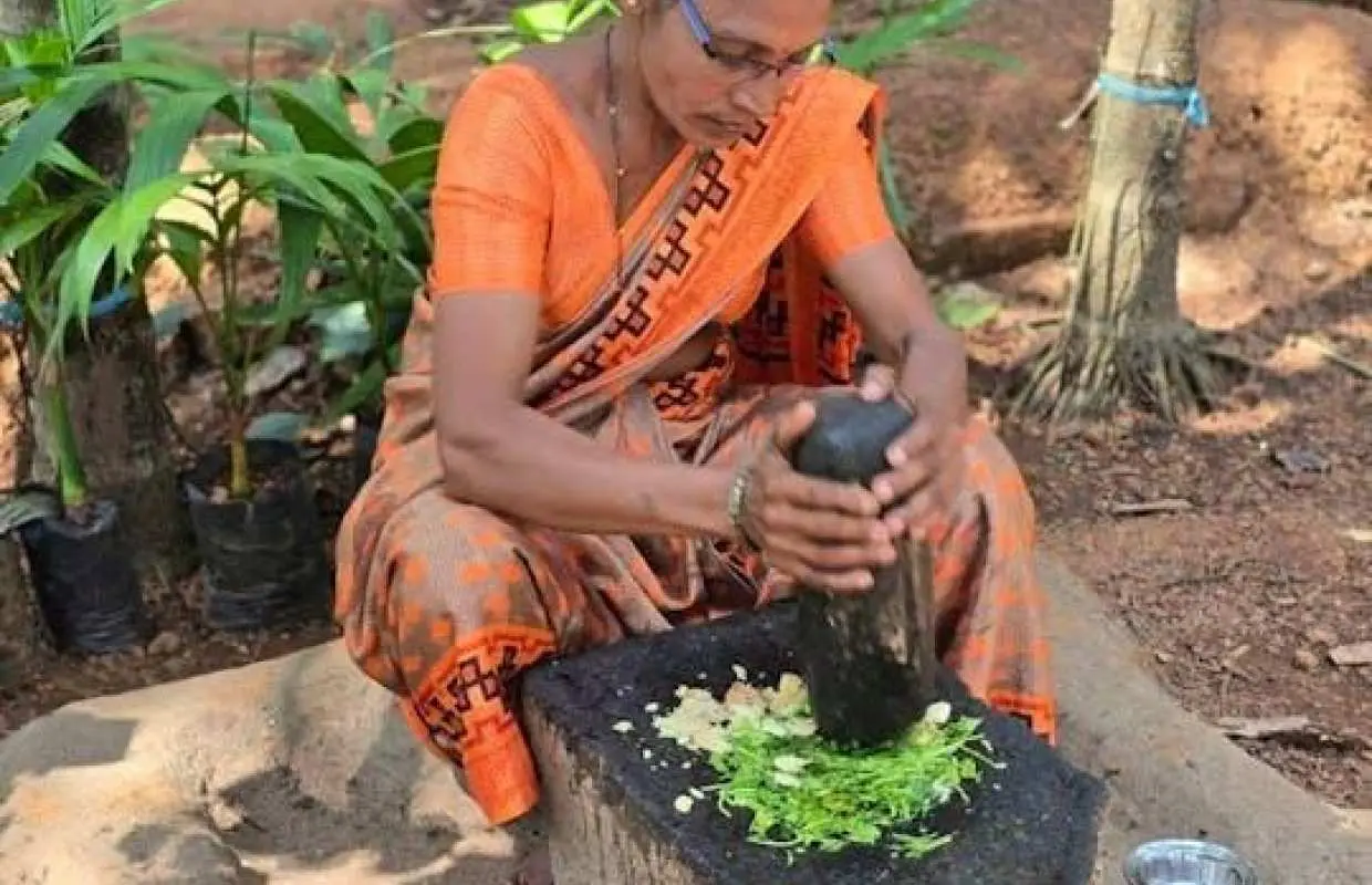 Authentic Goan Saraswat cooking experience on a local spice farm