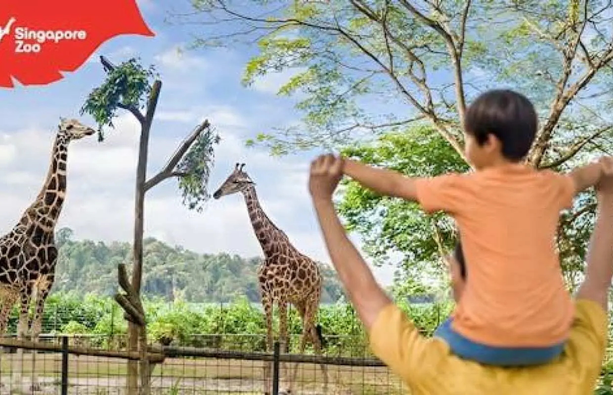 Singapore Zoo Entrance Ticket Including Tram