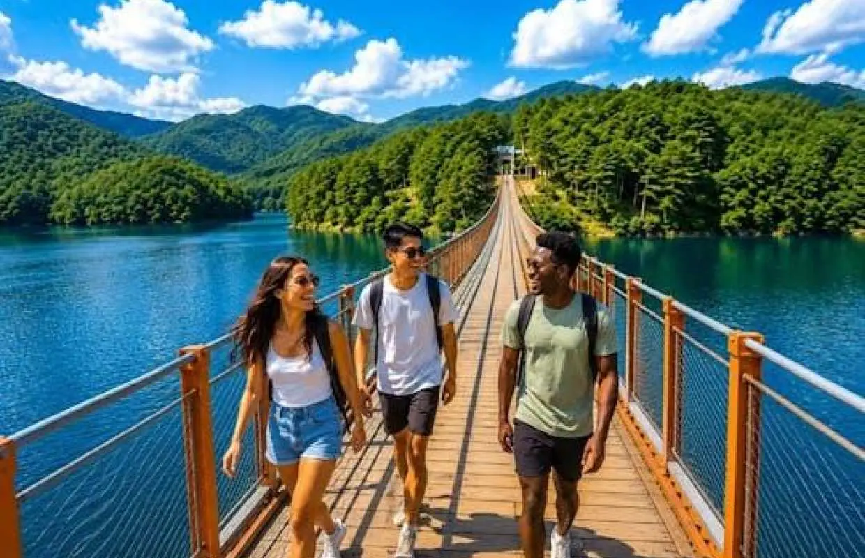 DMZ and Lake Majang Suspension Bridge Tour from Seoul