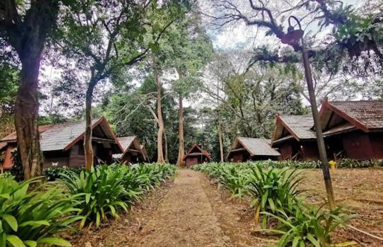 Taman Negara jungle tour