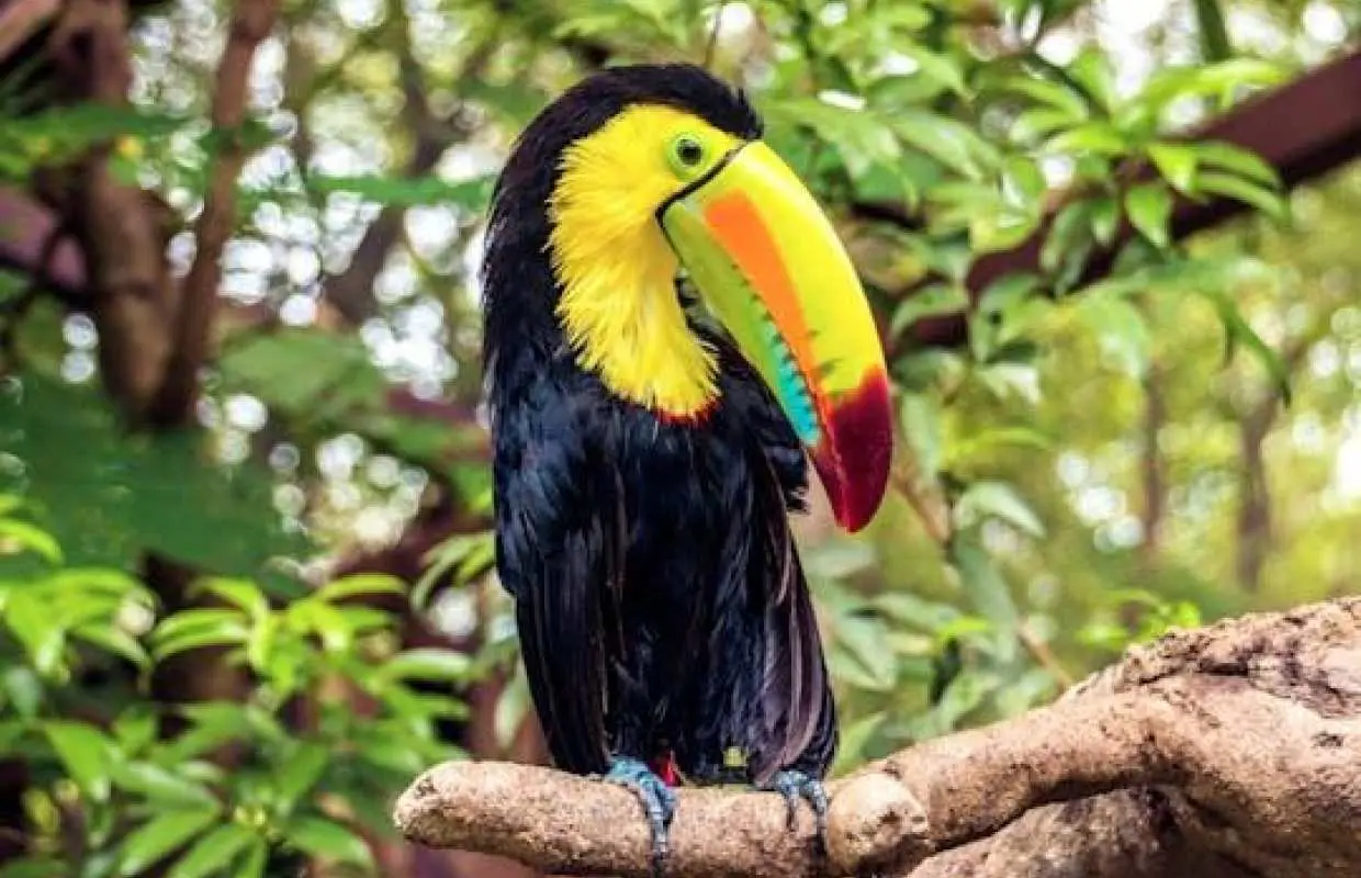 Diamante Eco Park Animal Sanctuary Discovery Ticket