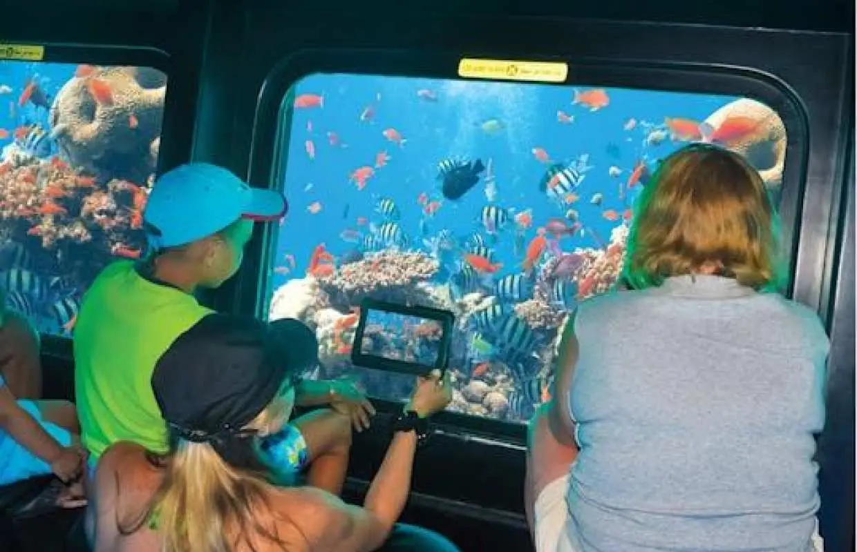 在馬薩阿拉姆體驗Seascope潛水艇之旅