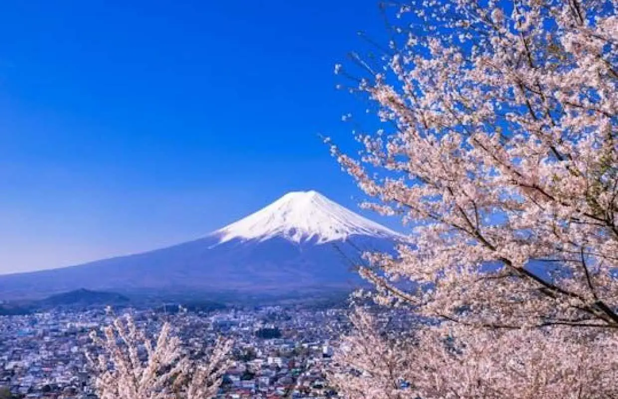 富士山和忍野八海之旅（可選溫泉或出口）