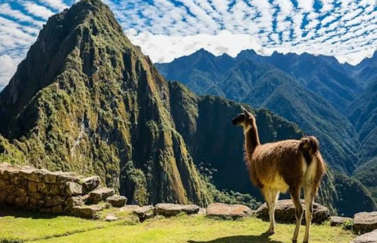 Guided tour of Machu Picchu citadel including entrance