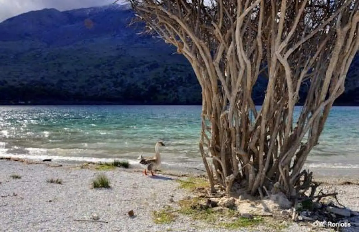Tour of southern unspoiled Crete from Rethymno