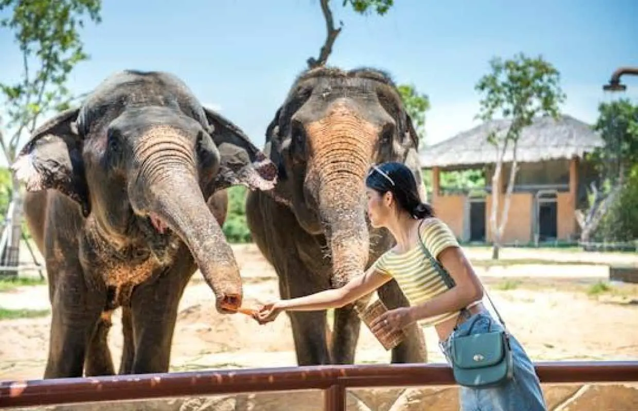 VinWonder South Hoi An tickets