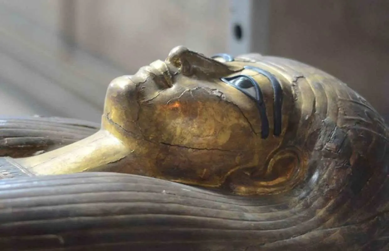 Cairo: Egyptian Museum, Citadel, and Old Cairo Guided Tour｜Egypt