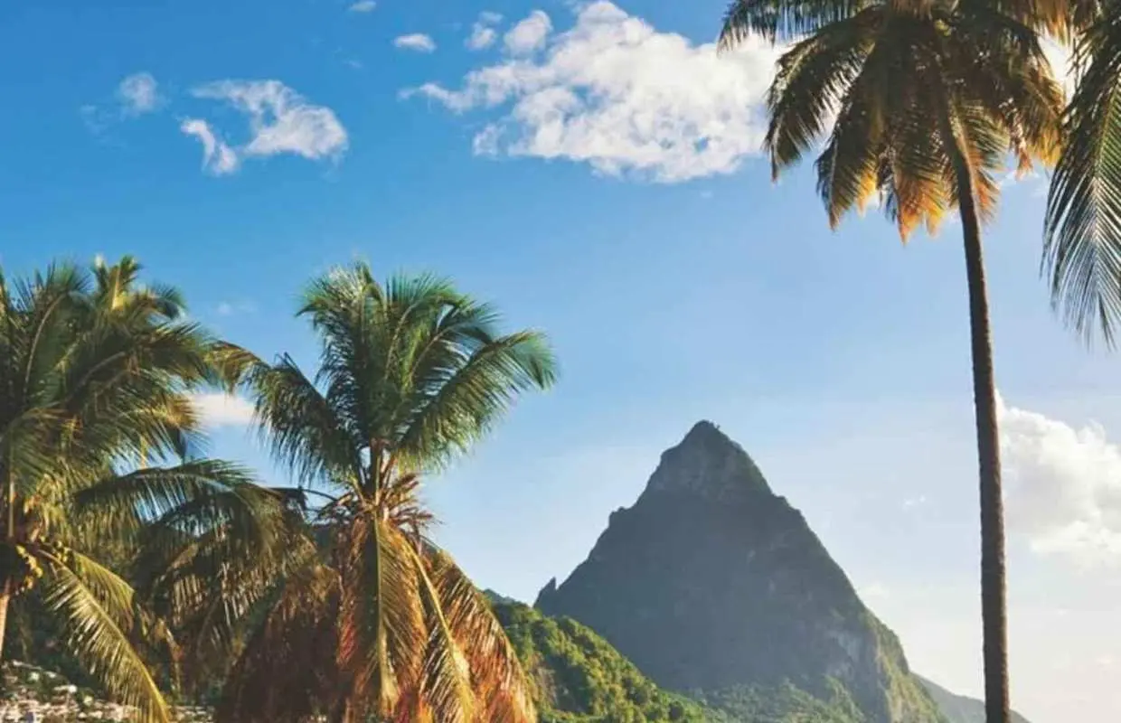 St.Lucia |UVF to Any Sandals Resort|Round Trip|Free Souvenir｜South Africa