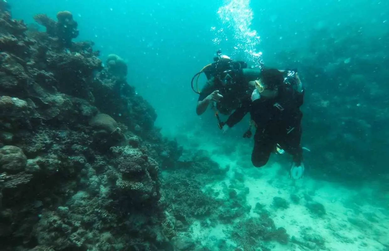 Jeddah: Red sea shore diving (Discovery)｜Saudi Arabia