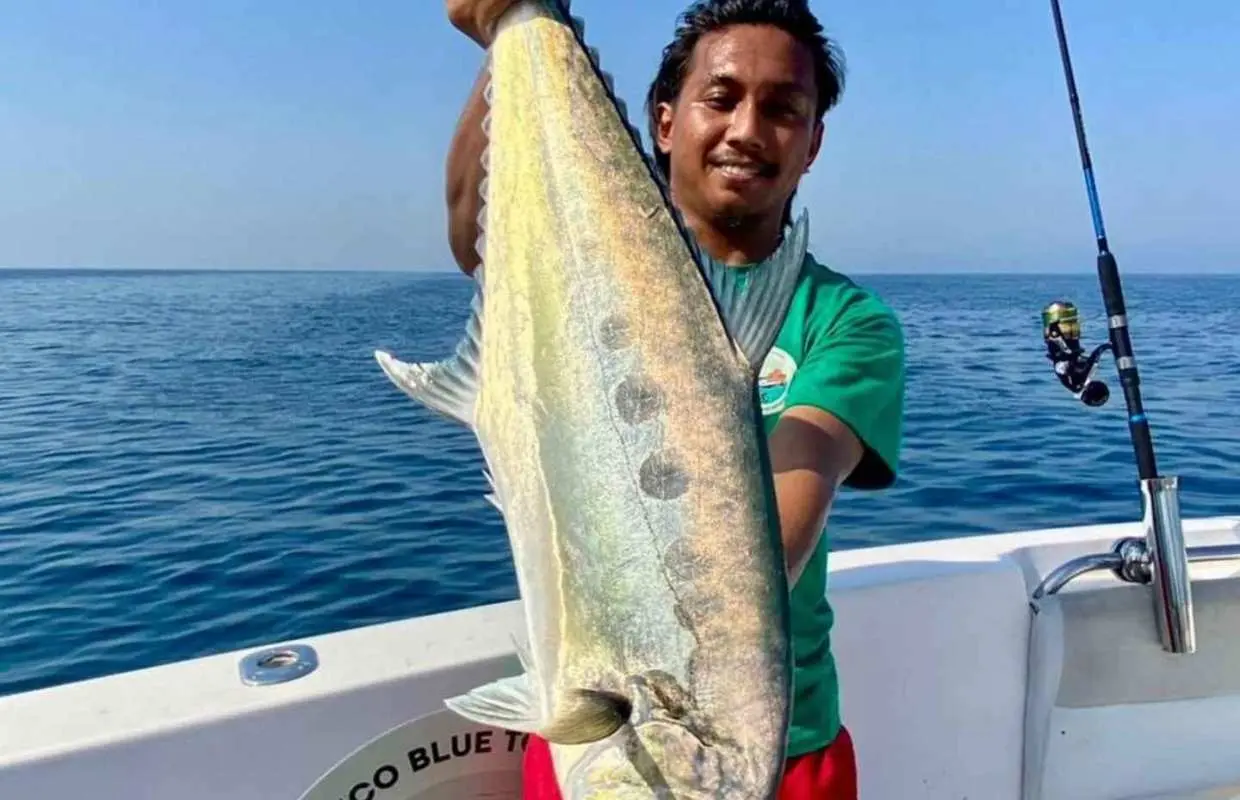 Ras Al Khaimah: 4h Private Open Sea Fishing Trip｜United Arab Emirates