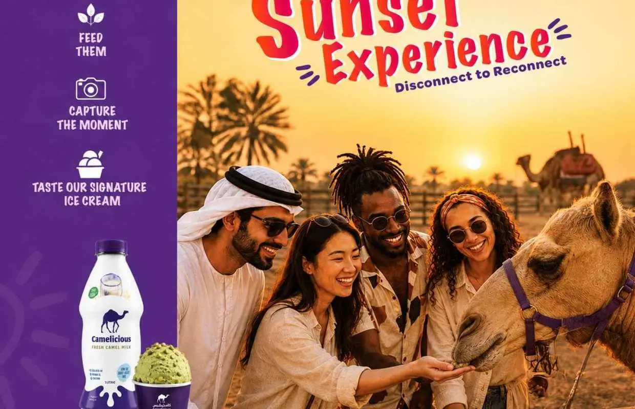 Dubai: Guided Camel Farm Tour+Camel Milk Tasting-Camelicious｜United Arab Emirates