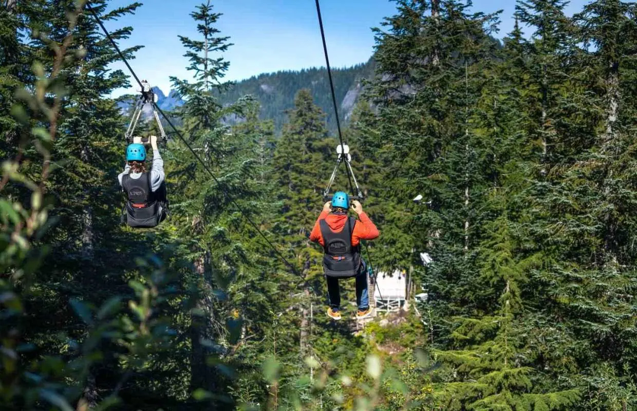 Vancouver Grouse Mountain Express With Gondola Ride｜Canada