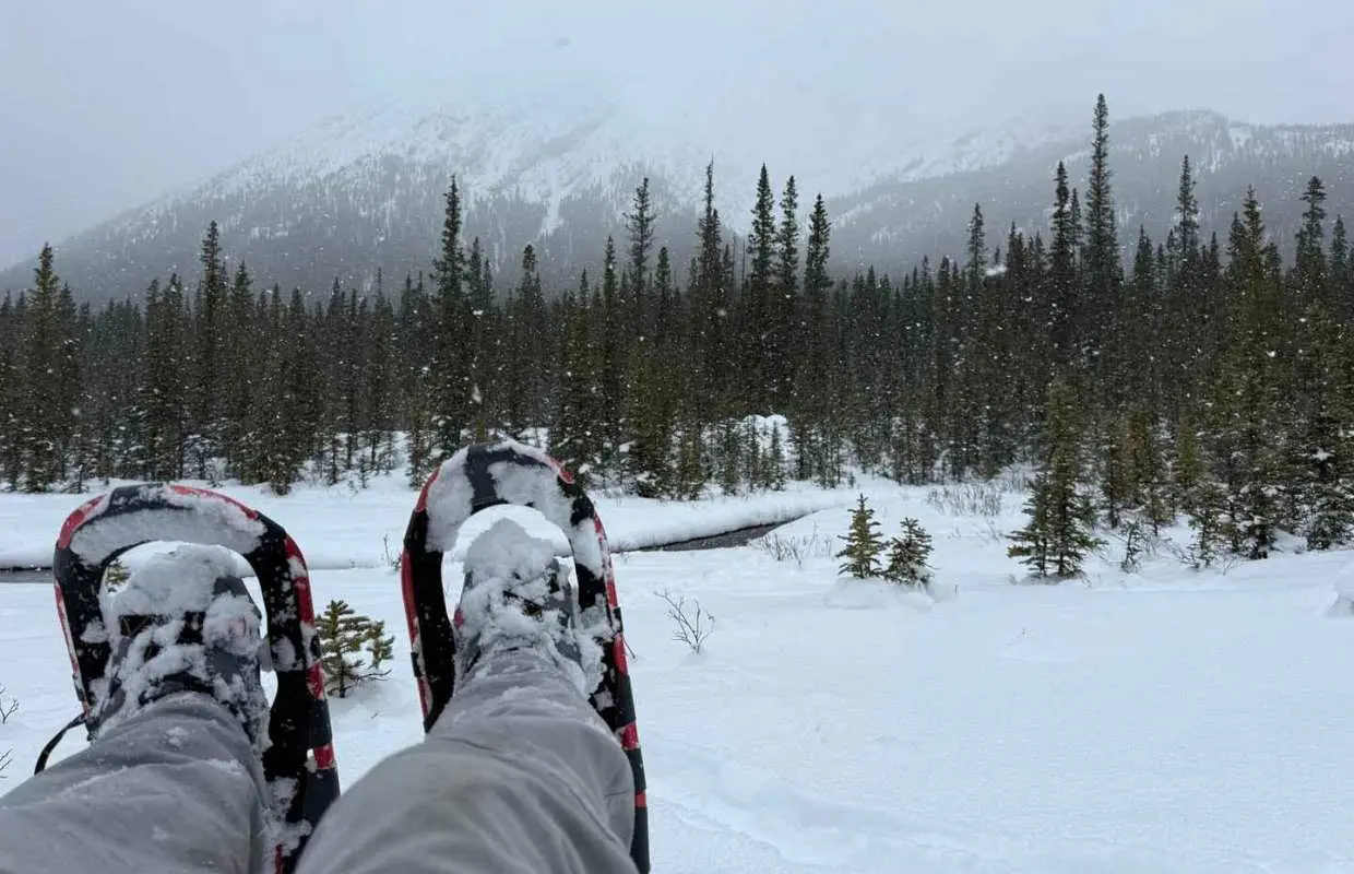 Canmore/Banff Snowshoeing Adventure Including Transportation｜Canada