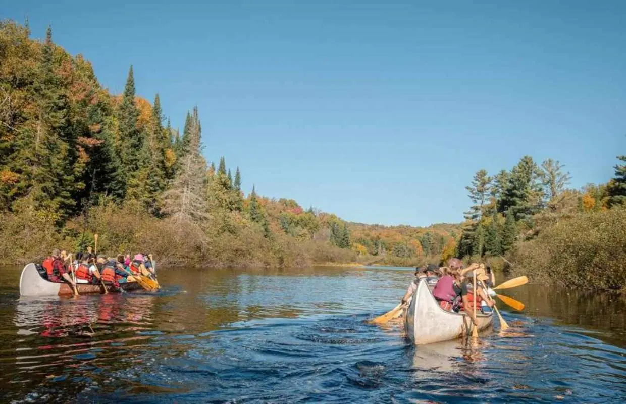 Toronto: Algonquin Park and Ragged Falls Day Trip｜Canada