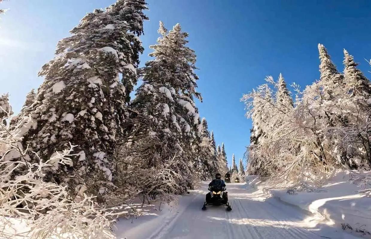 Snowmobiling Upper Laurentians 2hrs near Mont-Tremblant｜Canada