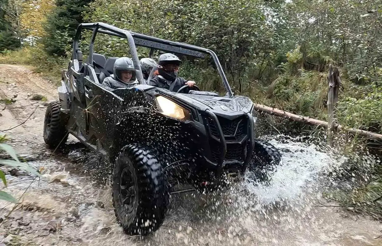 Laurentians: guided buggy tour｜Canada