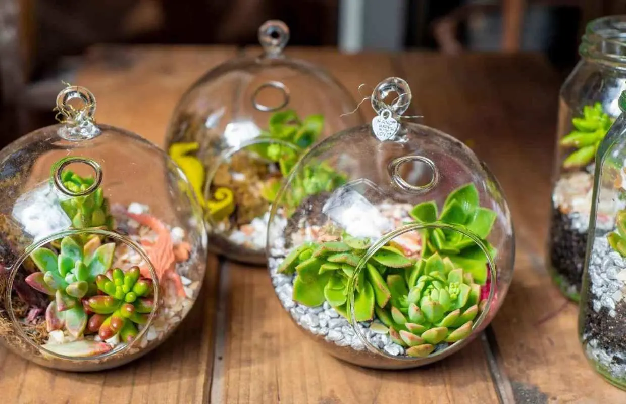Orange County: Flower Decorating Classes｜United States