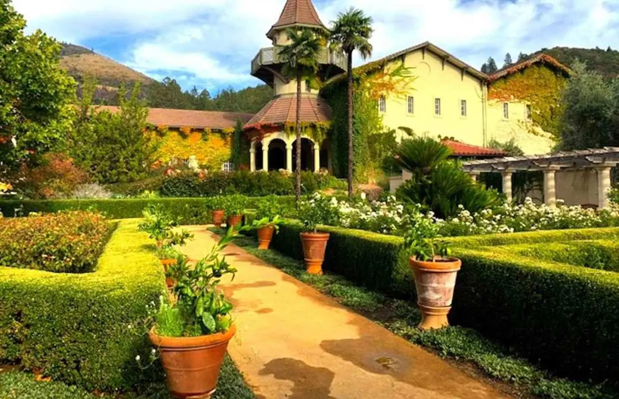 From San Francisco: Private Muir Woods and Napa Wine Tour｜United States