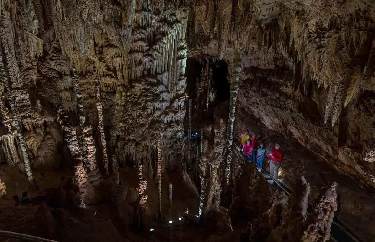 San Antonio: Discovery Tour at Natural Bridge Caverns｜United States
