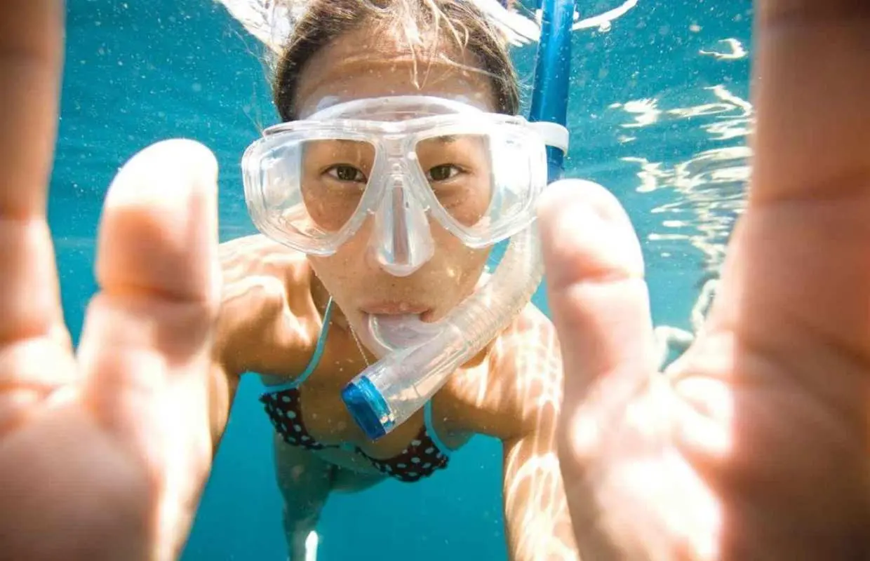 Key Largo: Molasses Reef Snorkeling Trip｜United States
